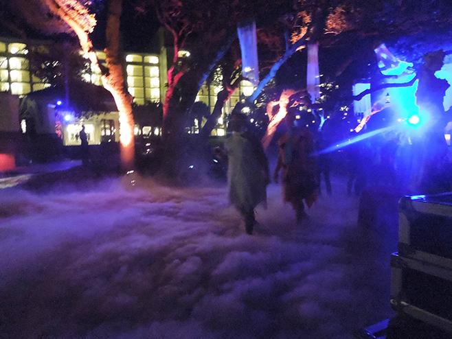 low lying fog outdoors