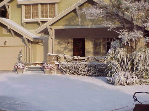 fake snow snowcel sprayed on ground